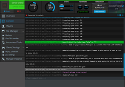 A screenshot of the output and server logs generated for a server