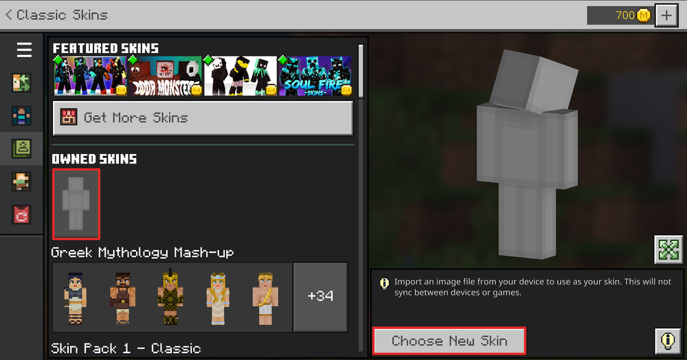 Skins for Minecraft: Bedrock Edition