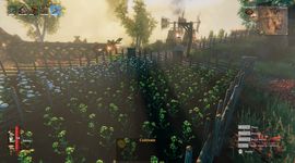 Valheim Server Screenshot: Farming